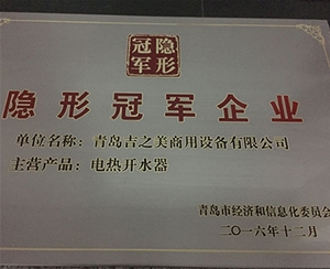 隱形冠軍