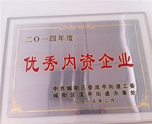優秀內資企業