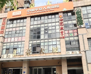 中國平安人壽保險股份有限巢湖中心支公司