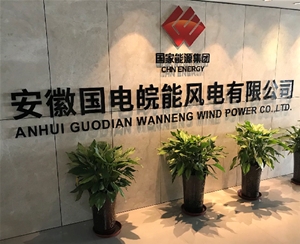 安徽國電皖能風電有限公司
